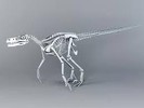  velociraptor skeleton;?>